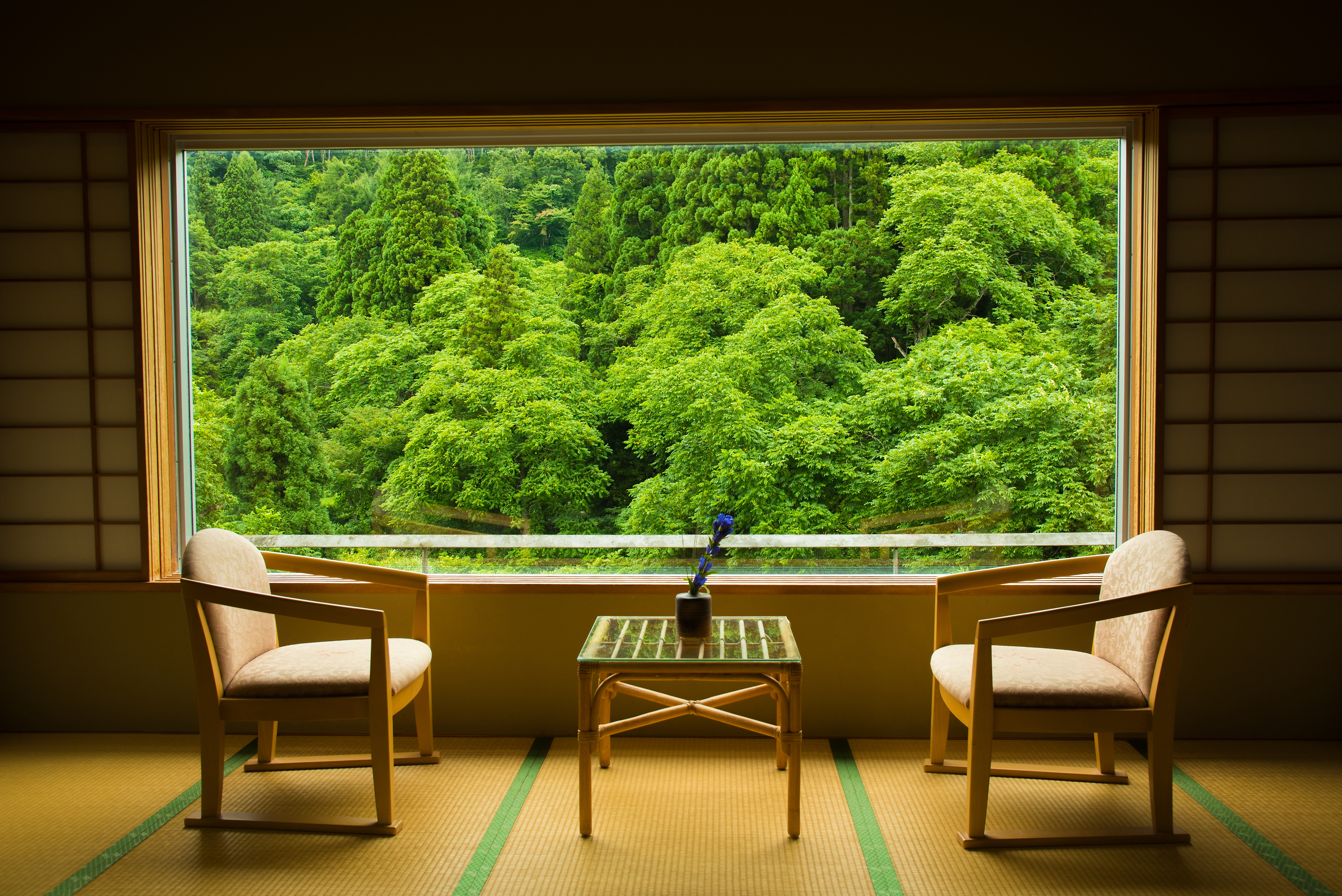 緑を望む旅館の客室