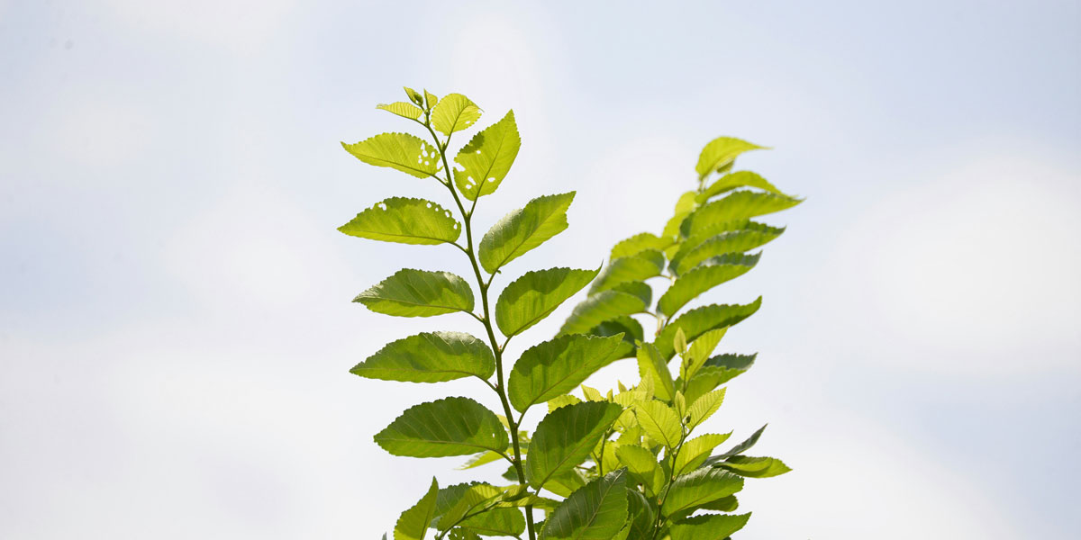「企業価値向上」の支援も無償提供