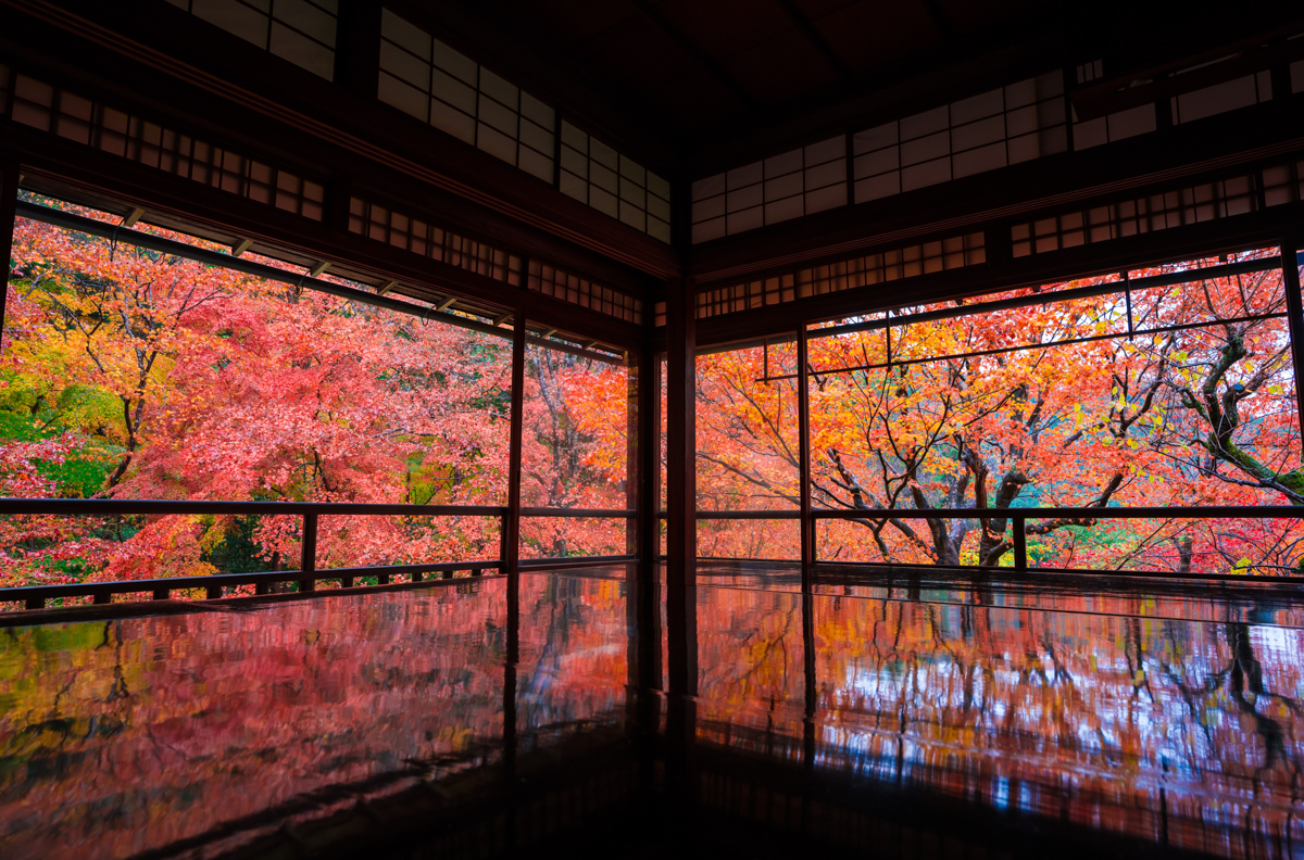 紅葉を望む旅館の座敷