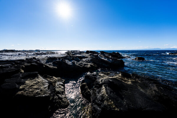 海